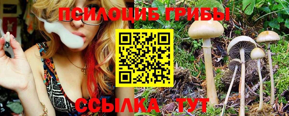 ГАШ  Волжский  МЕФ кристаллы  Экстази  Канабис  Вход с VPN  MDMA  LSD-25 