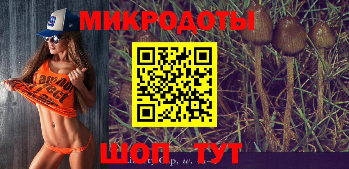 Псилоцибиновые грибы Magic Shrooms Волжский